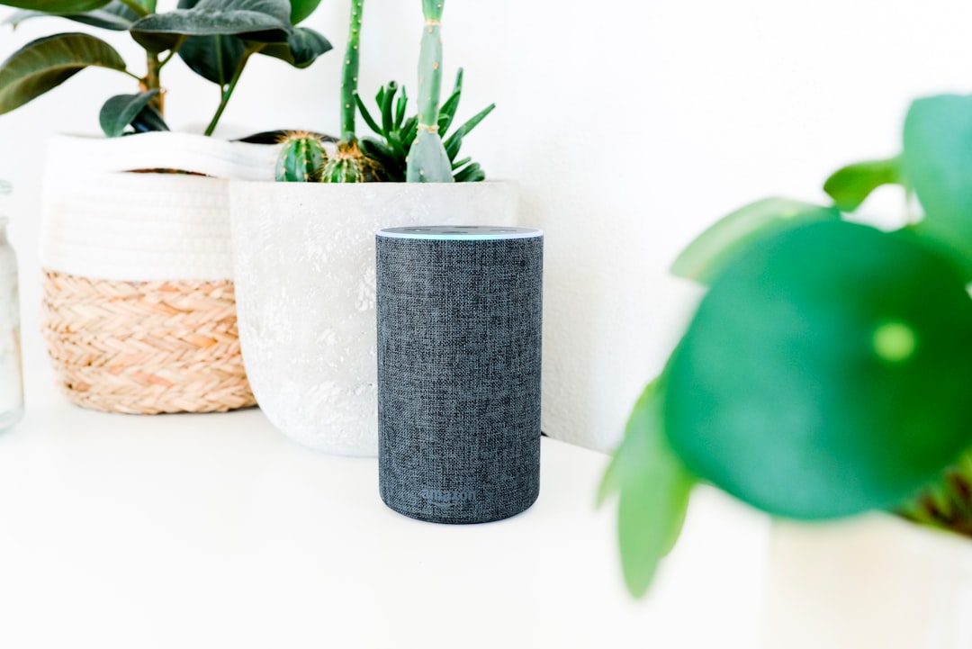 Smart Home Devices That Will Transform Your Living Space Effortlessly